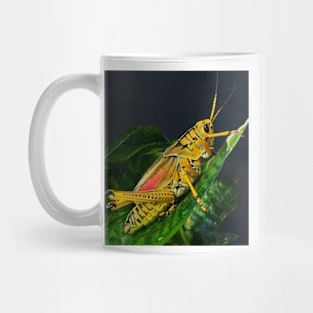 Southern Lubber Grasshopper Mug